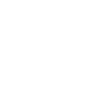 Ellipse 21